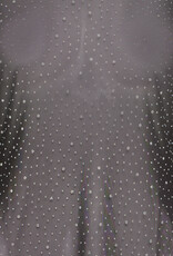 ICHI Volia Long Sleeve Sheer Embellished Top