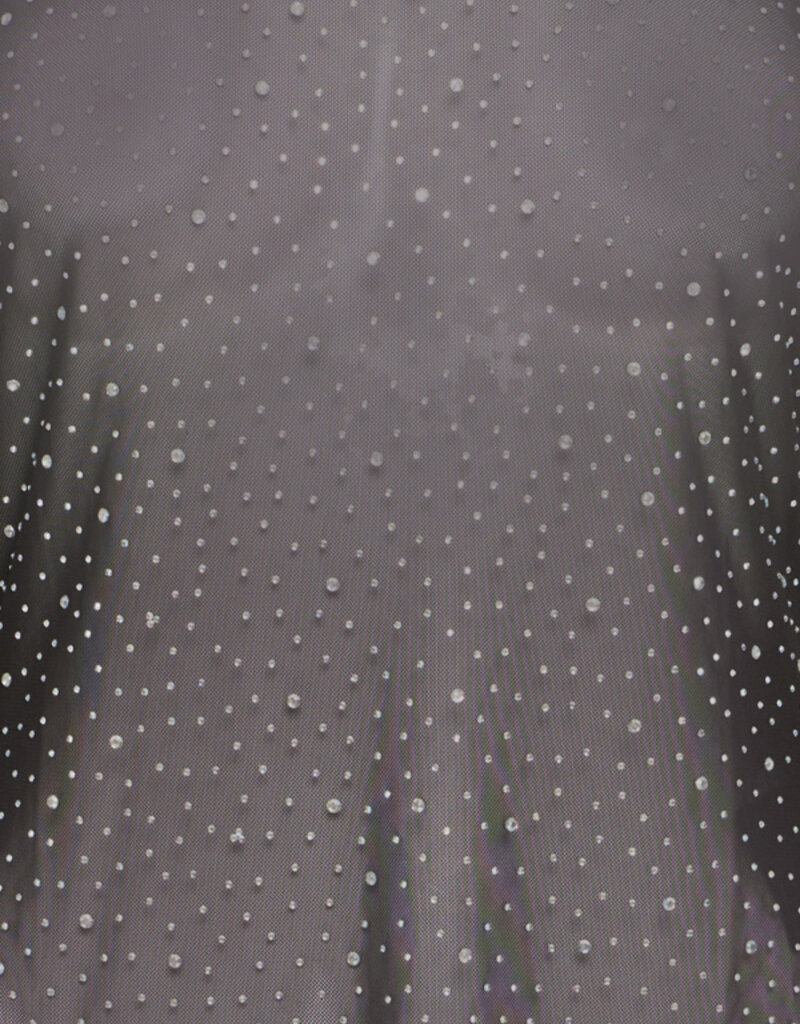 ICHI Volia Long Sleeve Sheer Embellished Top