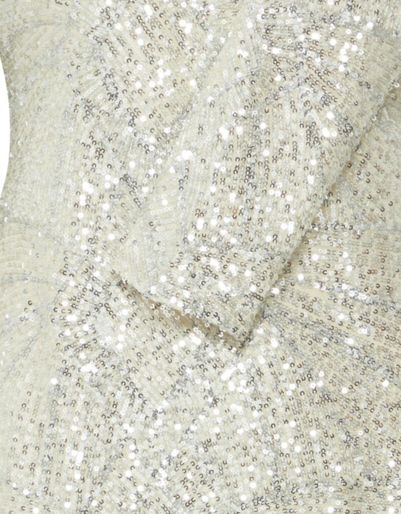 ICHI Fauca Sequin Dress