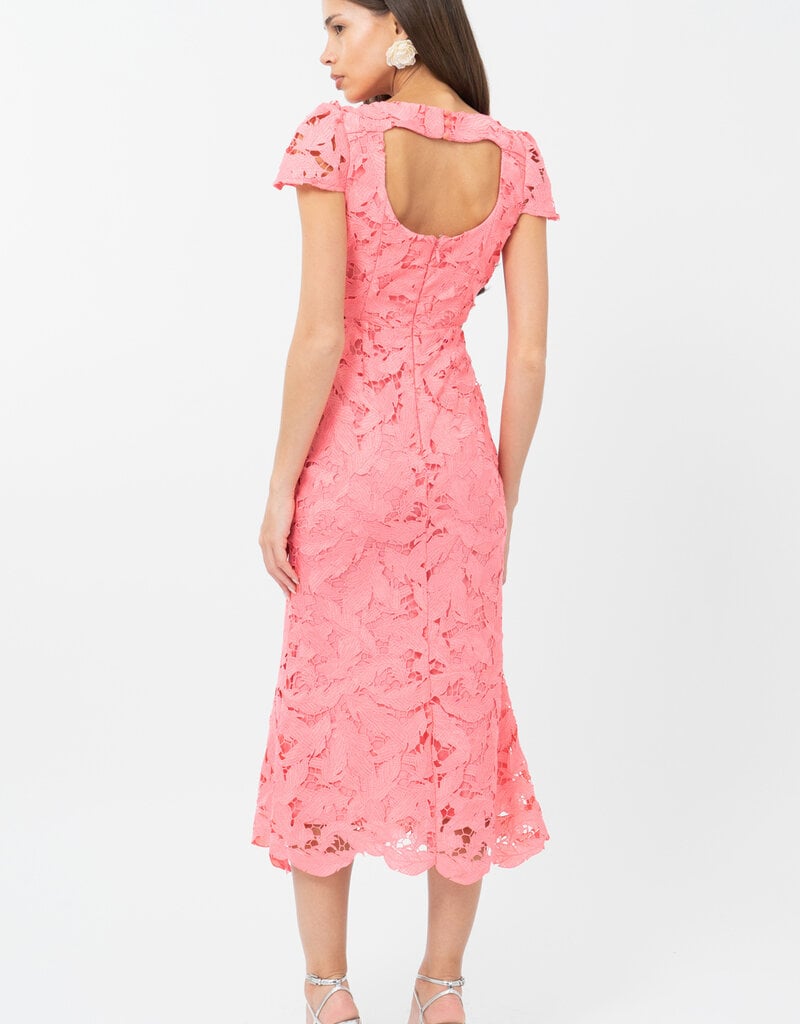 Adelyn Rae Portia 3D Lace Cap Sleeve Midi