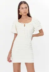 Adelyn Rae Aina Textured Lace Trim Mini Dress