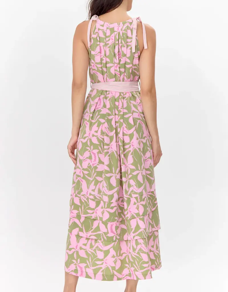 Greylin Nali Print Tie Shoulder Maxi Dress