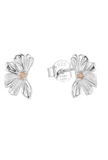 Haiku Lane Petal Stud Earrings
