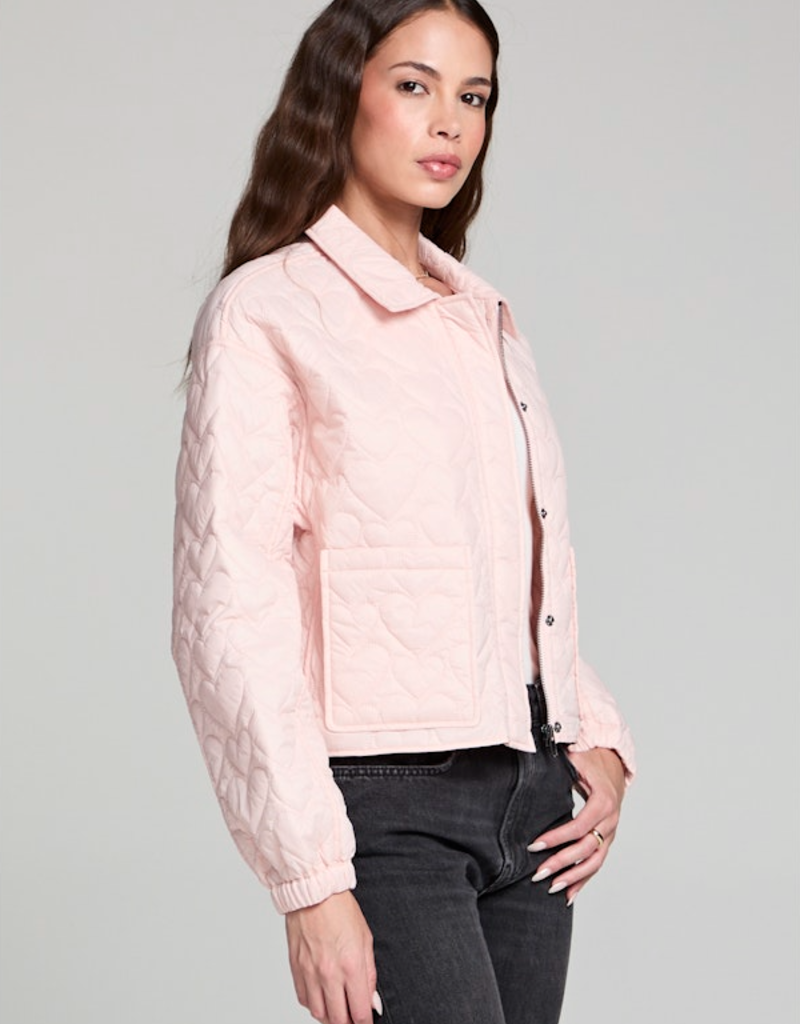 Saltwater Luxe Creston Jacket In Rosebud