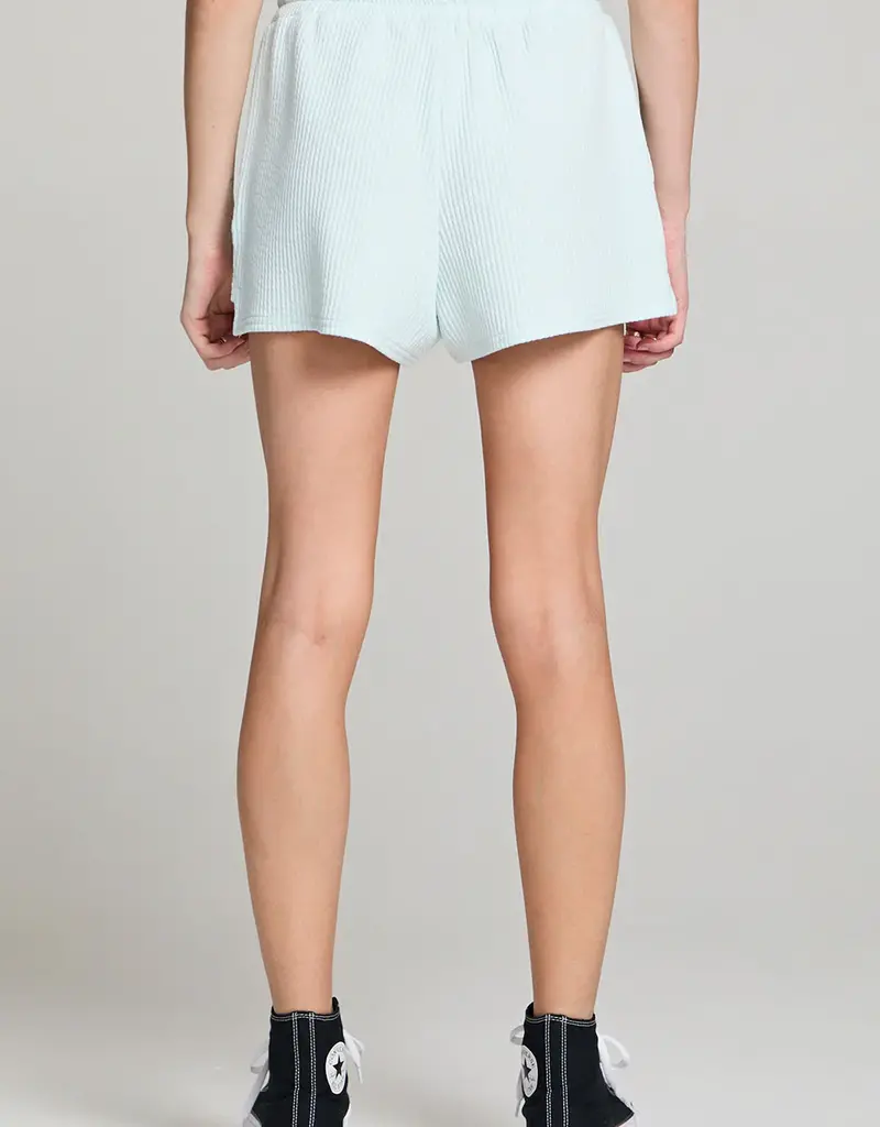 Saltwater Luxe Pull-On Shorts