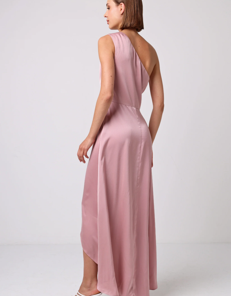 Angel Eye Coco De Mer One Shoulder Maxi Dress