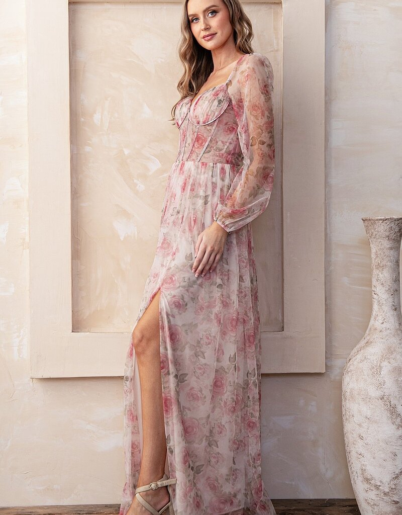 Soieblu Nessa Rose Print Long Sleeve Mesh Maxi Gown