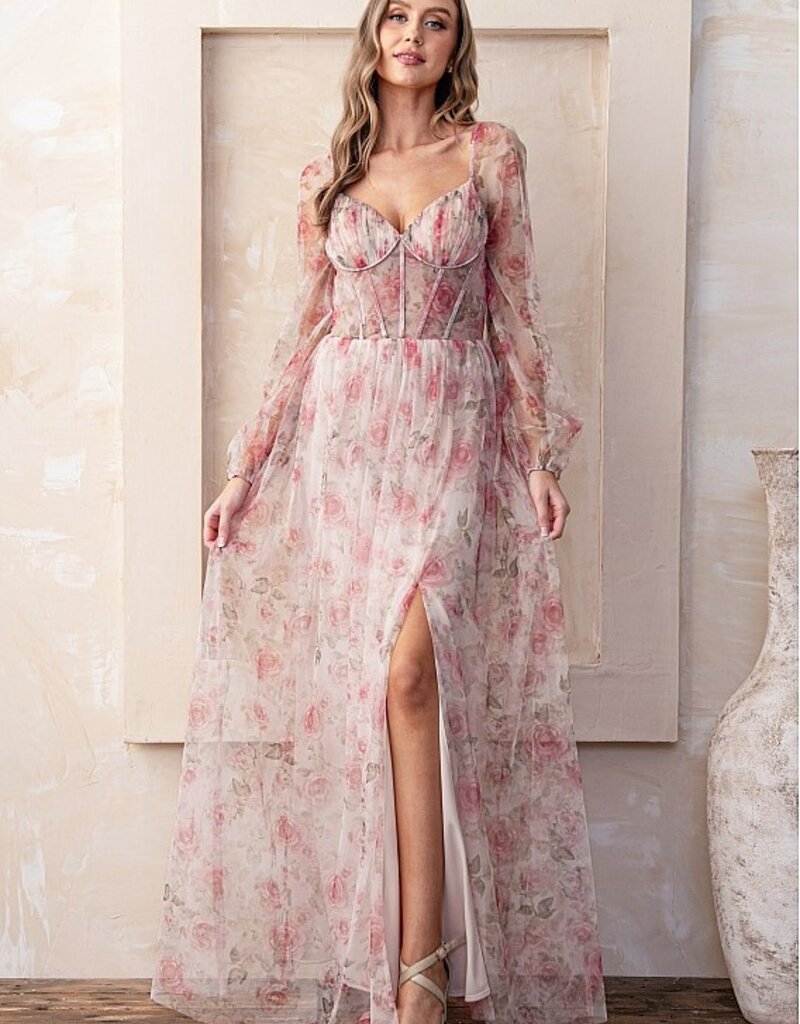 Soieblu Nessa Rose Print Long Sleeve Mesh Maxi Gown