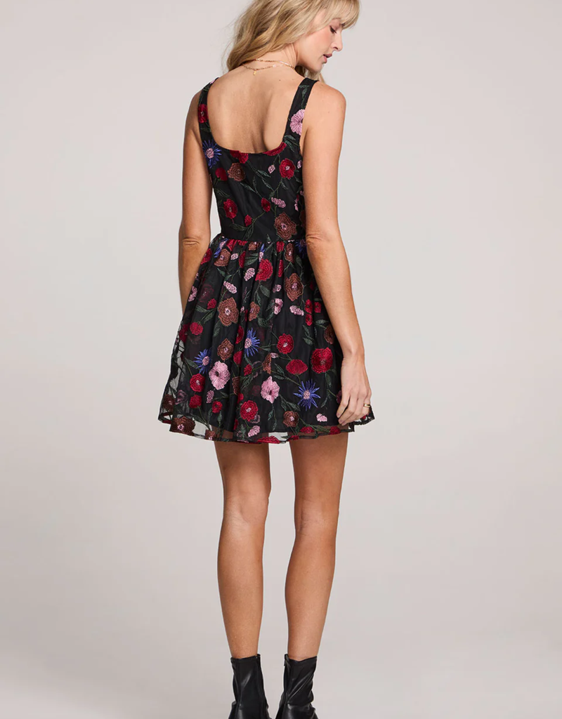 Saltwater Luxe Pipper Embroidered Mini Dress