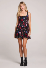 Saltwater Luxe Pipper Embroidered Mini Dress