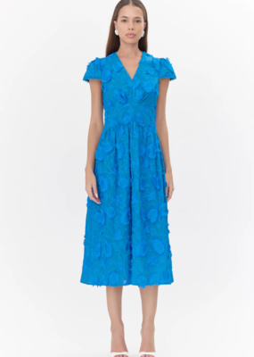 Adelyn Rae Nori 3D Embroidered Midi Dress *Two Colours*
