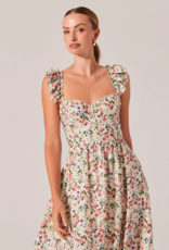 ASTR Wedelia Floral Bustier Midi Dress in Multi-Colour Floral