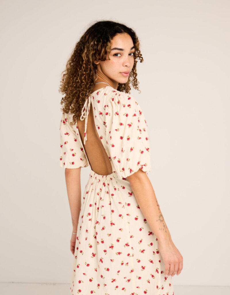 ICHI Rosey Dress