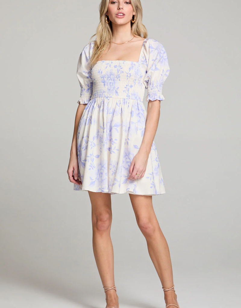 Saltwater Luxe Floras Mini Dress