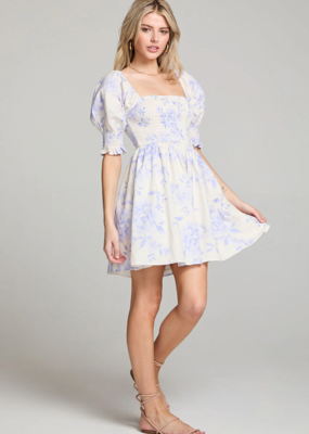 Saltwater Luxe Floras Mini Dress