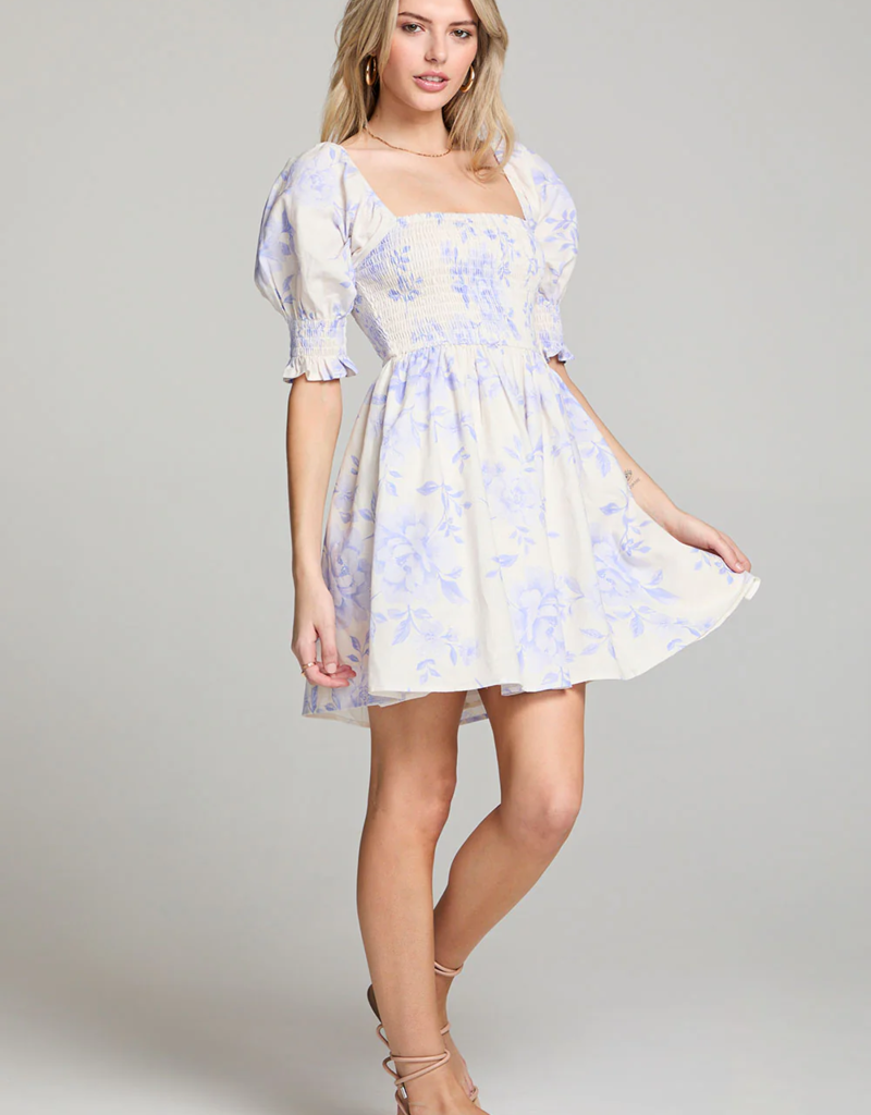Saltwater Luxe Floras Mini Dress