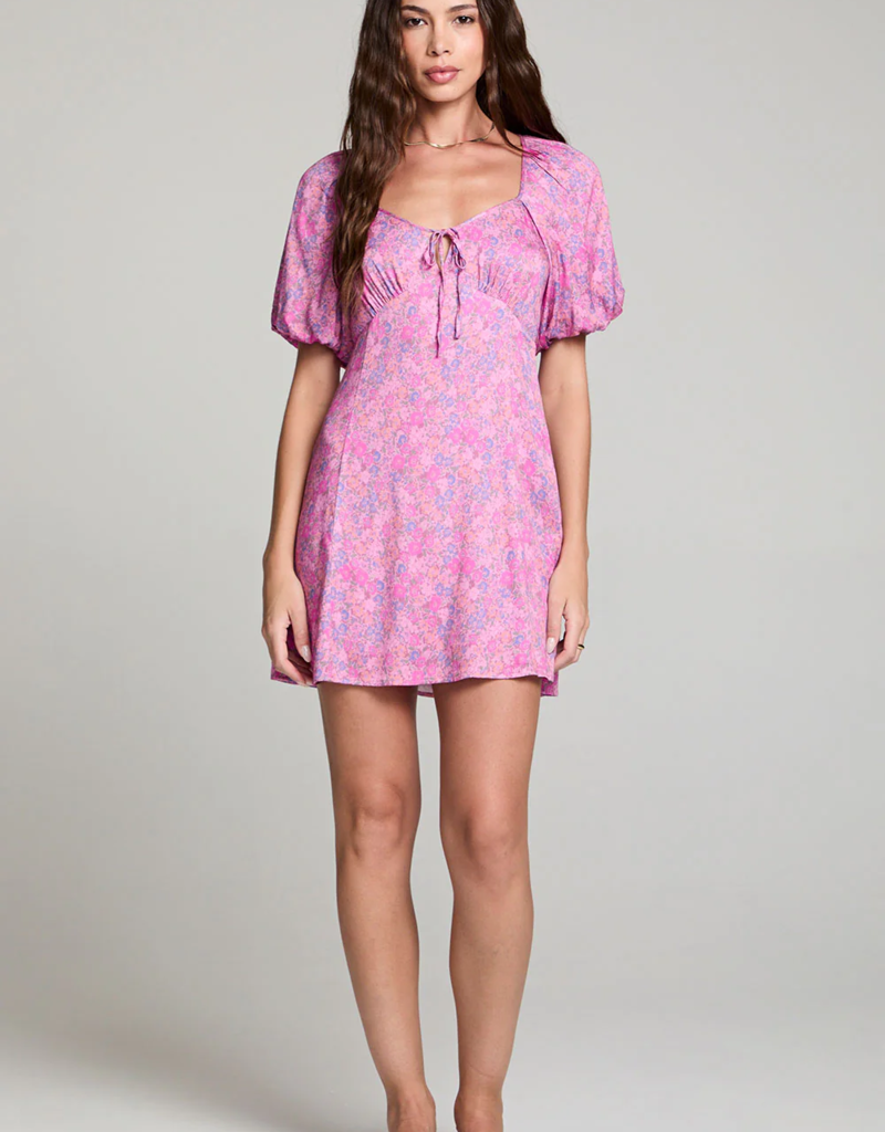 Saltwater Luxe Dia Mini Dress