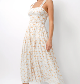 Greylin Cladelle Wide Strap Cinched Bodice Midi Dress