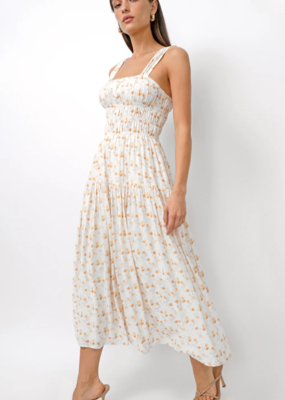 Greylin Cladelle Wide Strap Cinched Bodice Midi Dress