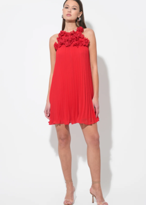 Adelyn Rae Corey Halter Pleated Dress with 3D Floral Applique