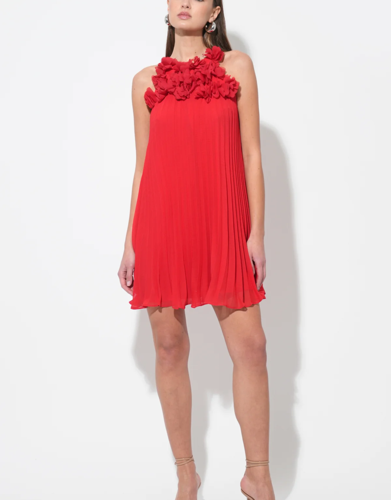 Adelyn Rae Corey Halter Pleated Dress with 3D Floral Applique
