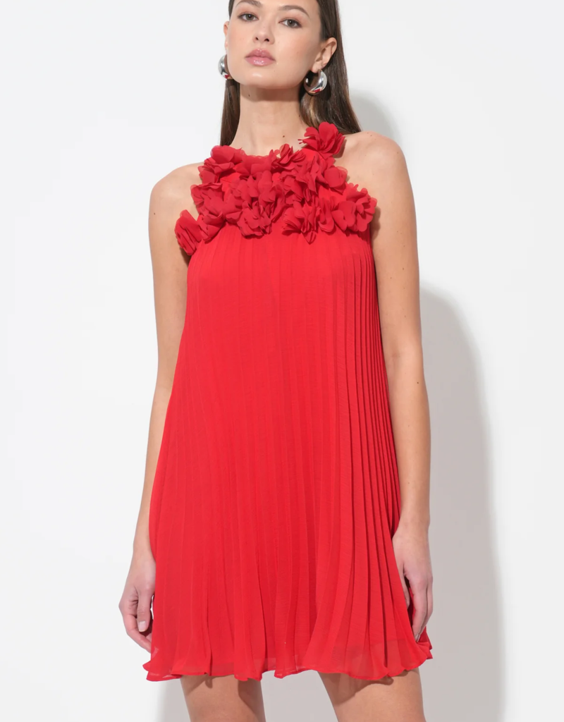 Adelyn Rae Corey Halter Pleated Dress with 3D Floral Applique