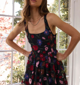 Saltwater Luxe Pipper Embroidered Mini Dress