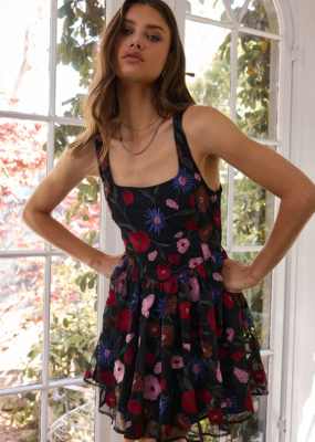 Saltwater Luxe Pipper Embroidered Mini Dress