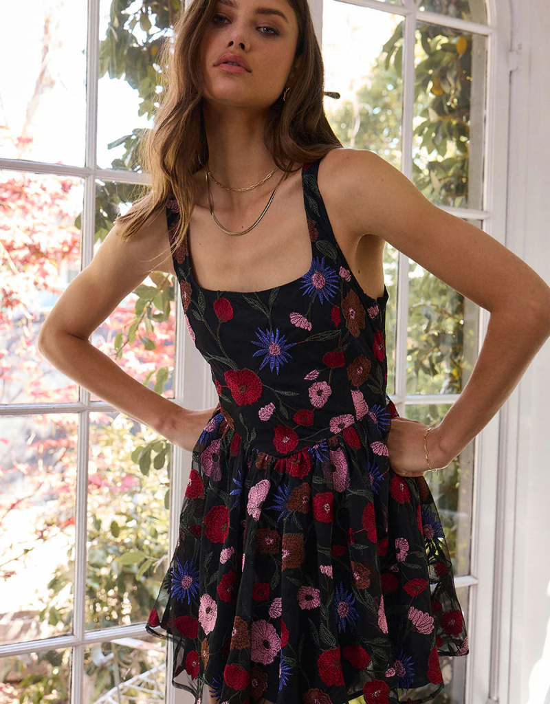 Saltwater Luxe Pipper Embroidered Mini Dress