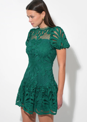 Adelyn Rae Clarisse A-Line Lace Dress