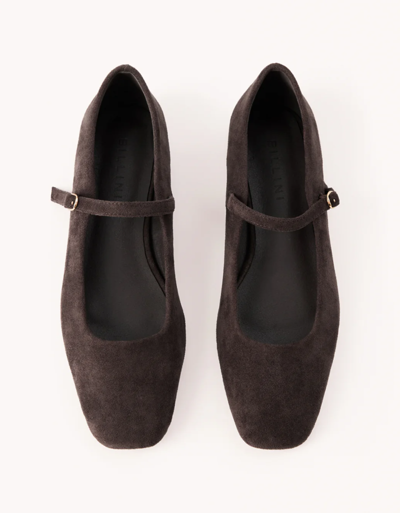 Billini Fion Flat in Dark Cacao Suede