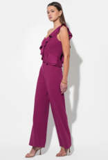 Adelyn Rae Deana One Shoulder Ruffled Jumpsuit in Magenta