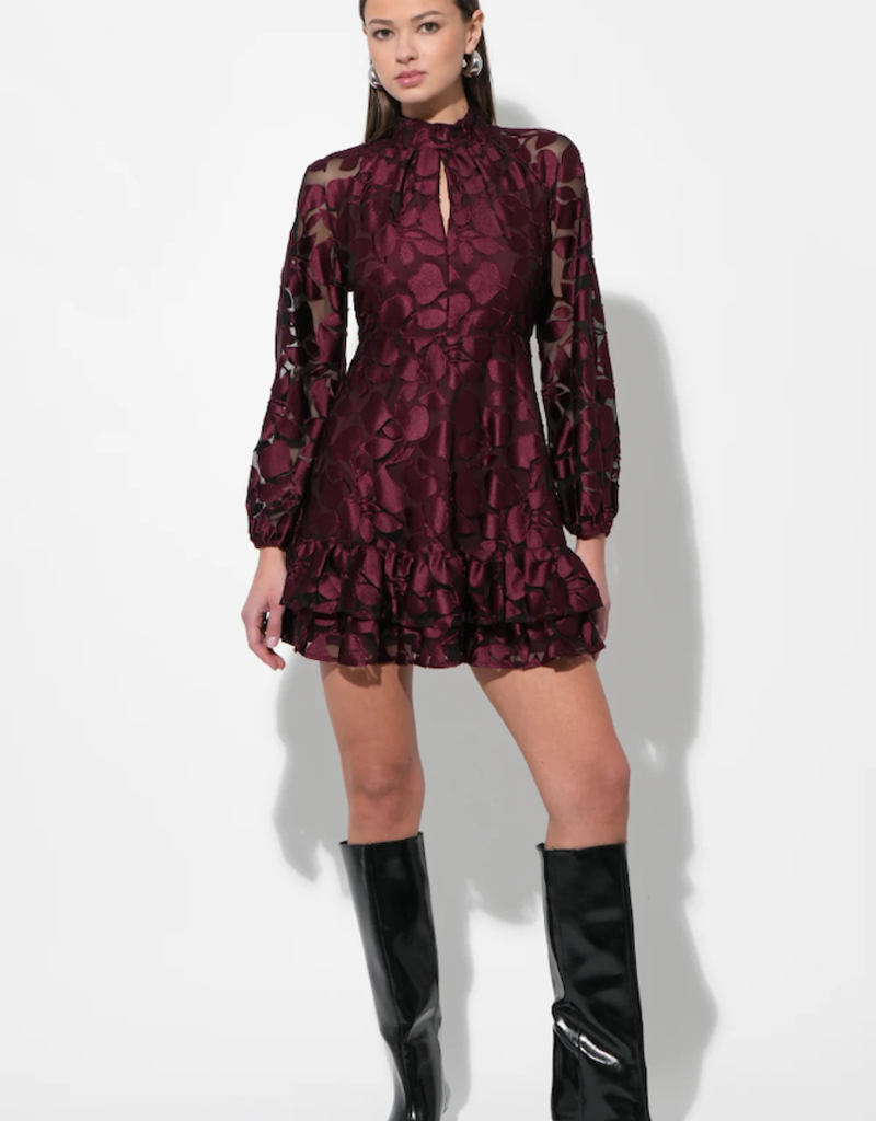 Adelyn Rae Elinor Velvet Burnout Mock Neck Fit and Flare Mini Dress in Wine
