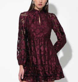 Adelyn Rae Elinor Velvet Burnout Mock Neck Fit and Flare Mini Dress in Wine