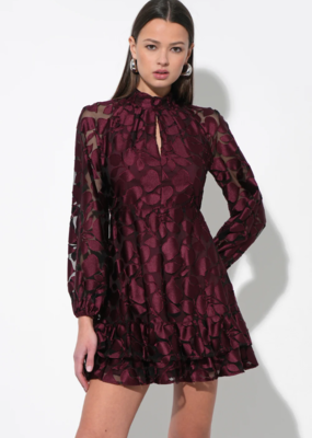 Adelyn Rae Elinor Velvet Burnout Mock Neck Fit and Flare Mini Dress in Wine