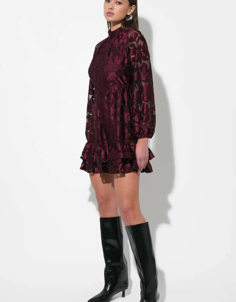 Adelyn Rae Elinor Velvet Burnout Mock Neck Fit and Flare Mini Dress in Wine