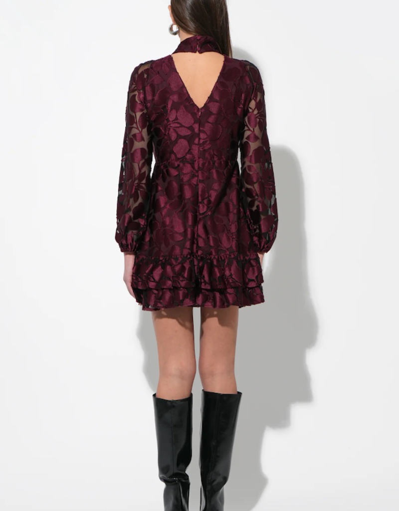 Adelyn Rae Elinor Velvet Burnout Mock Neck Fit and Flare Mini Dress in Wine