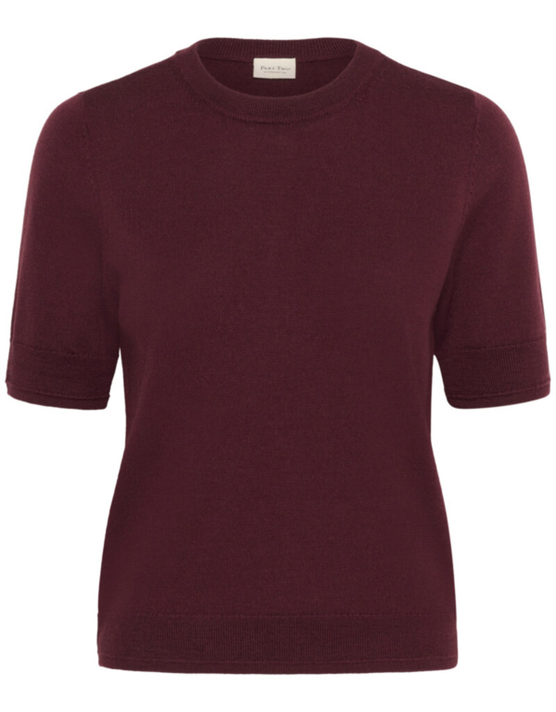 Part Two Natanya Short Sleeve Knit in Tawny Port