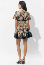 Adelyn Rae Koi Border Printed Mini Fit and Flare Dress