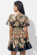 Adelyn Rae Koi Border Printed Mini Fit and Flare Dress