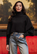 Angel Eye Derby Cropped Turtleneck Sweater in Black