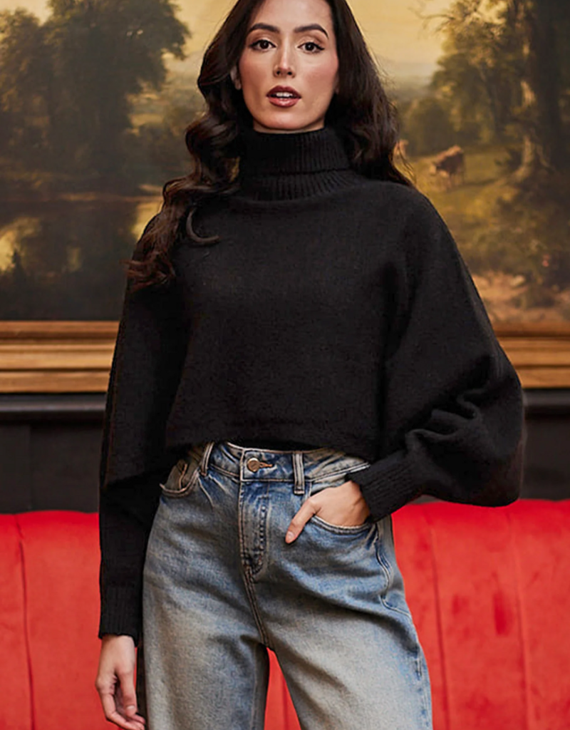 Angel Eye Derby Cropped Turtleneck Sweater in Black