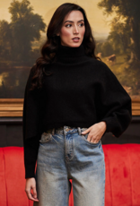 Angel Eye Derby Cropped Turtleneck Sweater in Black