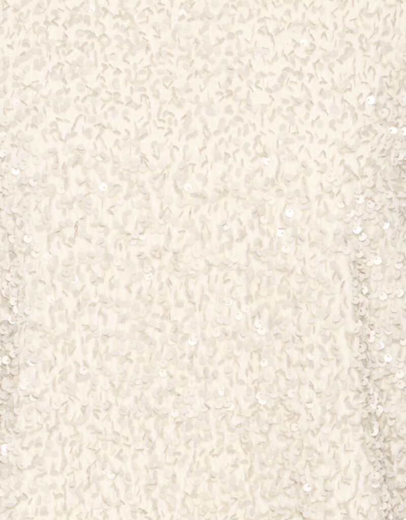 B.Young Pary Cream Velvet and Sequin Blouse