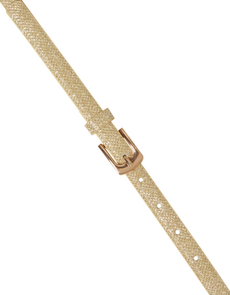 ICHI Sutin Shimmer Belt