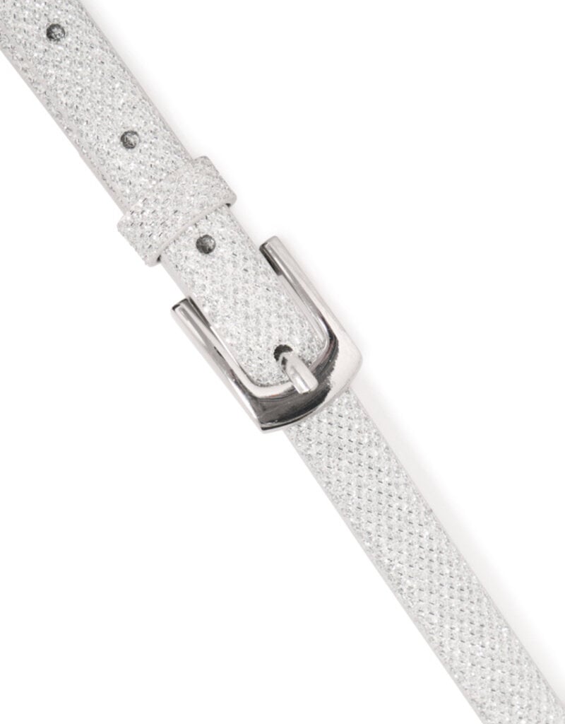 ICHI Sutin Shimmer Belt