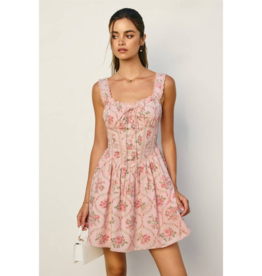 Dress Forum Cottage Charm Mini Dress in Romantic Garden