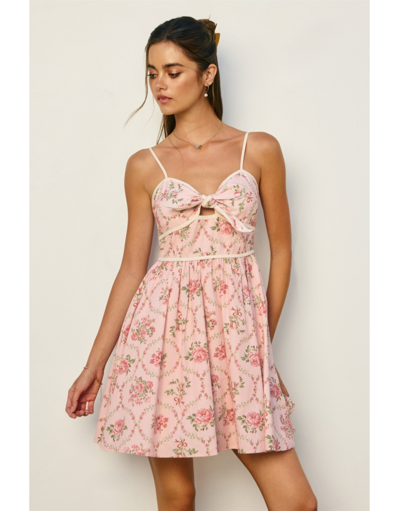 Dress Forum Cottage Charm Tie-Front Mini Dress in Romantic Garden