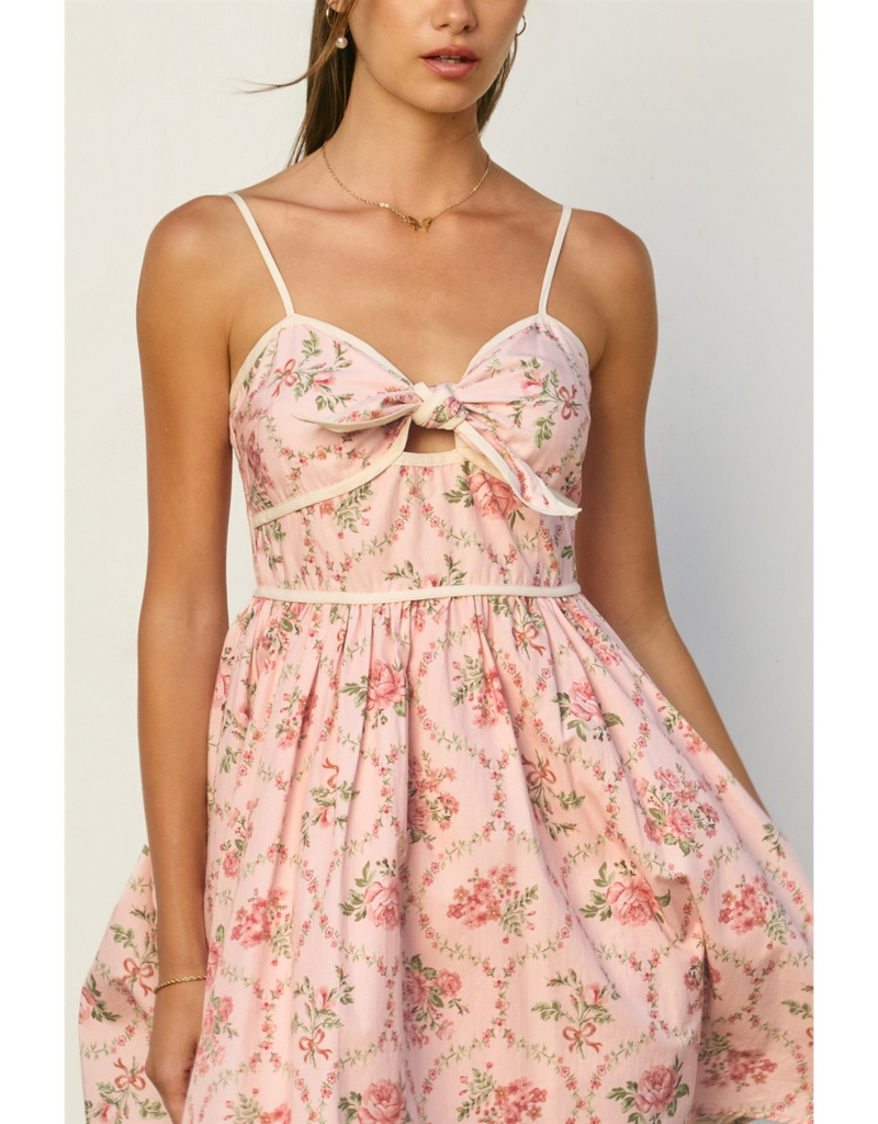 Dress Forum Cottage Charm Tie-Front Mini Dress in Romantic Garden