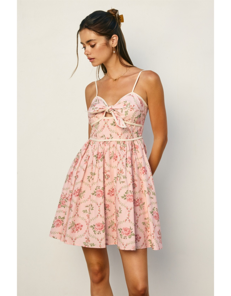 Dress Forum Cottage Charm Tie-Front Mini Dress in Romantic Garden